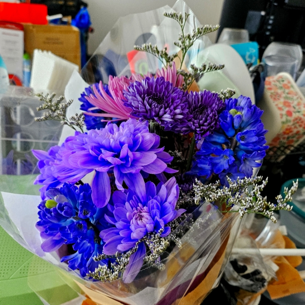 Meet your Posher, Dianna